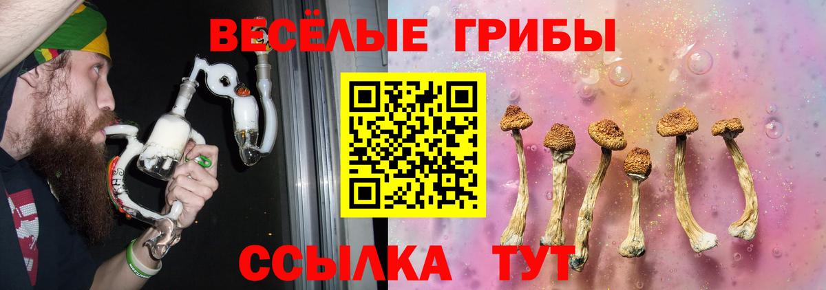 Псилоцибиновые грибы Psilocybe  Вход с VPN  Ревда 